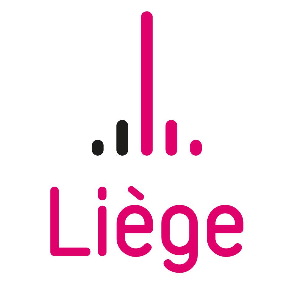 Ville de Liège – Service Stationnement (Scancar)